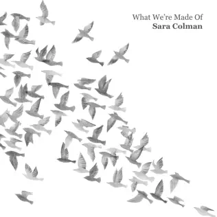 baixar álbum Sara Colman - What Were Made Of