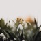 Com Truise - lechiffrebeats lyrics