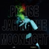 Praise Jah In the Moonlight (Live) - Single