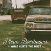 What Hurts the Most (From the Voice of Holland 7) - Single, 2017