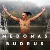 Budrus - Single