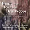Spirits that Dwell in Deep Woods: The Prayer and Praise Hymns of the Black Religious Experience album lyrics, reviews, download