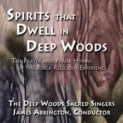 Spirits that Dwell in Deep Woods: The Prayer and Praise Hymns of the Black Religious Experience by James Abbington & The Deep Woods Sacred Singers album reviews, ratings, credits