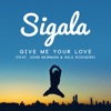 Give Me Your Love artwork