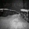 Winter NIght - Single album lyrics, reviews, download