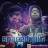 Spaced Out (feat. Aktual) - Single album lyrics, reviews, download