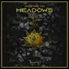 Meadows album lyrics, reviews, download