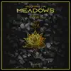 Stream & download Meadows