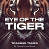 Eye of the Tiger - Single