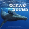 Ocean Sound: Epic Inspiring and Reflective Classical Emotional Instrumental Music