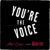You're the Voice (feat. The Motion Epic) - Single
