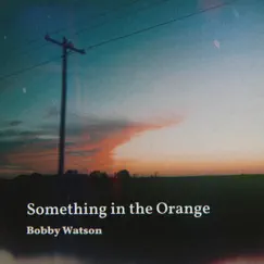 Something in the Orange - Single by Bobby Watson album reviews, ratings, credits