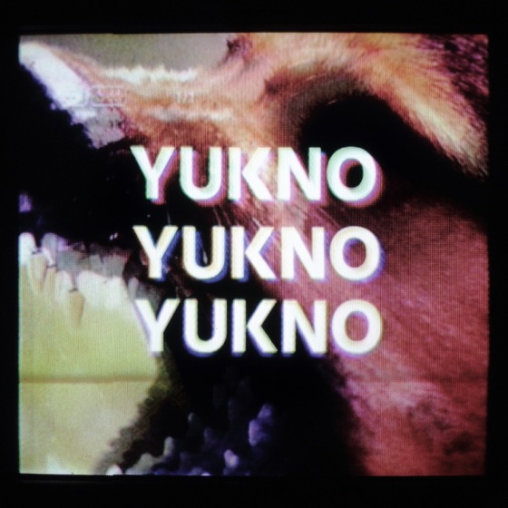 Cover artwork for Hund