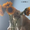 + Smile + - Single