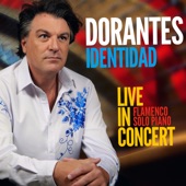 Identidad (Live in Concert) artwork