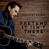 Pretend It Isn't There (feat. Steve Mandile) artwork