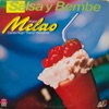 Salsa y Bembé