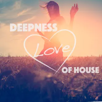 Deepness Love of House by Various Artists album reviews, ratings, credits