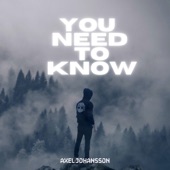 You Need to Know artwork