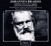 Wolf-Dieter Hauschild & Orchestra della Svizzera Italiana - 12 Lieder und Romanzen, Op. 44: No. 7, Nun stehn die Rosen in Blute
