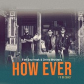 How Ever (feat. Decency) [Beat Soul Alternative Touch] artwork