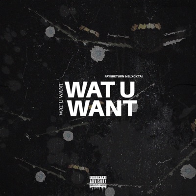 Wat U Want - paysreturn & blxcktai | Shazam