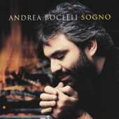 The Prayer - Andrea Bocelli & Céline Dion song art