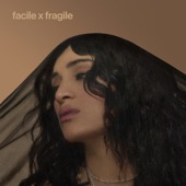 Facile x Fragile artwork