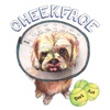Cheekface - Headache