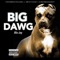 Big Dawg - Big BluJay lyrics