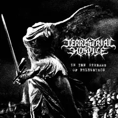 In the Streams of Phlegethon - Single by Terrestrial Hospice album reviews, ratings, credits