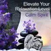 Elevate Your Relaxation Level: Calm Spirit, Emotional New Age Music, Self Motivation, Healing Benefits of Practicing Yoga Meditation, Reduce Stress album lyrics, reviews, download