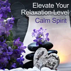 Elevate Your Relaxation Level: Calm Spirit, Emotional New Age Music, Self Motivation, Healing Benefits of Practicing Yoga Meditation, Reduce Stress by Motivation Songs Academy album reviews, ratings, credits