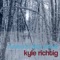 The Heart of Tomte - Kyle Richtig lyrics