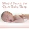 Calm Baby - Calm Music Zone lyrics