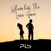 Where Has the Love Gone - Single