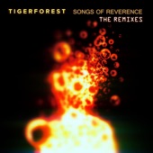 Tigerforest - Passages (Gunnar Spardel Remix)