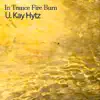 In Trance Fire Burn - Single album lyrics, reviews, download