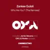 Who Are You (The Remixes) - Single album lyrics, reviews, download