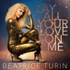 Lay All Your Love on Me - Single