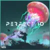 Perfect 10 (Unknown Brain & Rudelies Vip) song lyrics