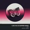 I Like You (A Happier Song) [Electro Acoustic Mix] - Single album lyrics, reviews, download