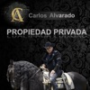 Propiedad Privada - Single