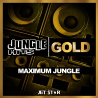 Various Artists - Jungle Hits: Gold artwork