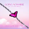 Going Nowhere (feat. Alex Marie Brinkley & DJ Skandalous) - Single album lyrics, reviews, download