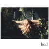 Bud - Single