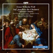 Wolf: 4 Christmas Cantatas artwork