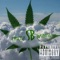Trapping Out the Uber (feat. Domosaurus_Rex) - Antski lyrics