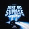 Ain't No Surprise - Hollywood Ty lyrics