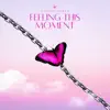 Feeling This Moment - Single album lyrics, reviews, download